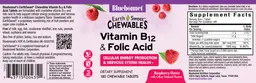 Label for Vitamin B12 & Folic Acid Raspberry Flavor