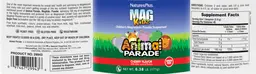 Label for MagKidz Natural Cherry Flavor