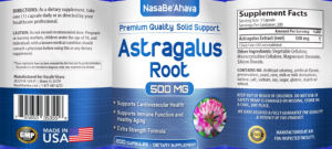 Astragalus Root 500 mg