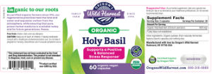 Holy Basil