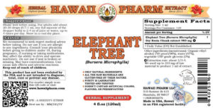 Elephant Tree