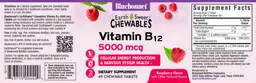 Label for Vitamin B12 5000 mcg Raspberry Flavor