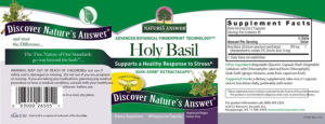 Holy Basil