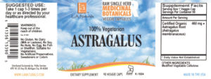 Astragalus