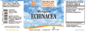 Echinacea