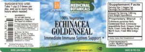 Echinacea Goldenseal
