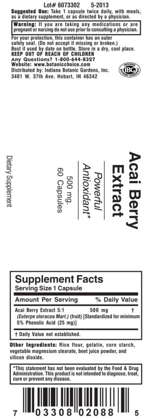 Acai Berry Extract