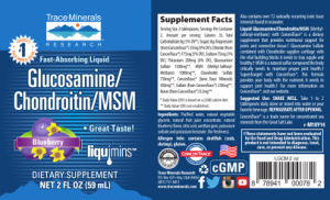 Glucosamine/Chondroitin/MSM Blueberry