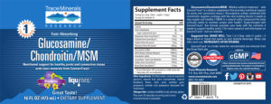 Glucosamine/Chondroitin/MSM Blueberry