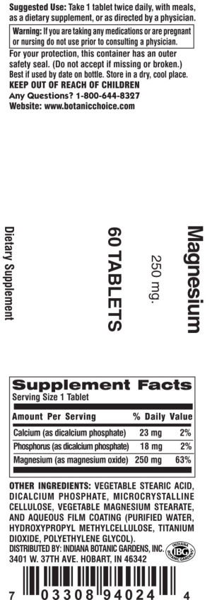 Magnesium 250 mg