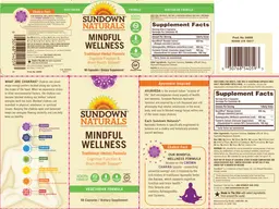 Label for Mindful Wellness