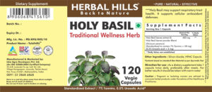 Holy Basil