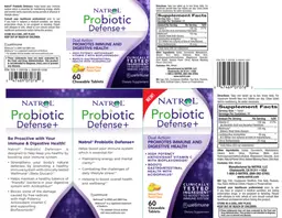 Label for Probiotic Defense+ Natural Citrus Punch Flavor