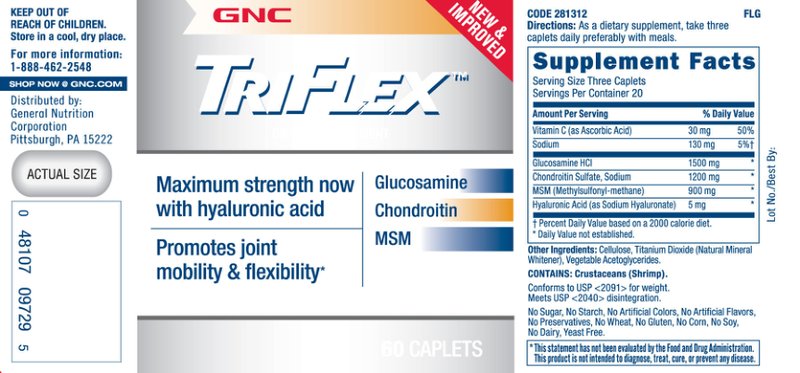 Glucosamine Chondroitin MSM