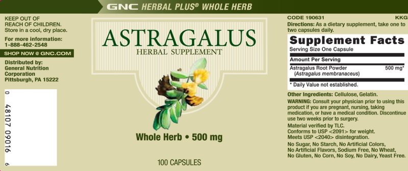 Astragalus
